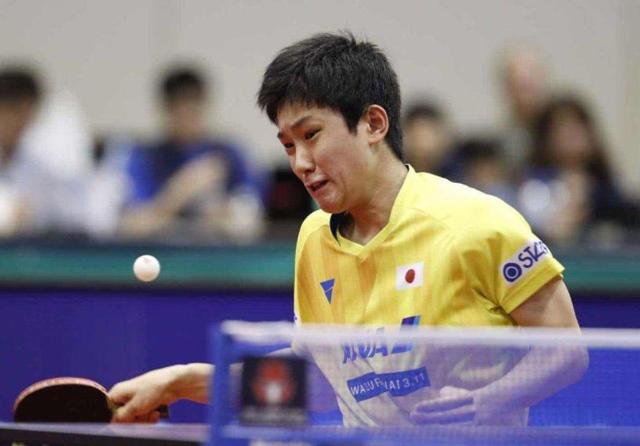 的主场强劲 的主场强劲